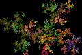 fractal_colour_fern